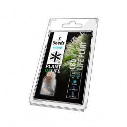 CBD LIFE PLANT MEDICAL 3 SEMI
