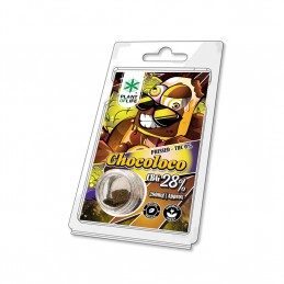 POLLINE CBG 28% CHOCOLOCO 1G