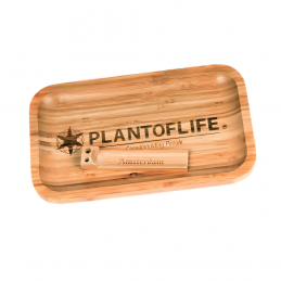 PLATEAU EN BAMBOU PLANT OF...