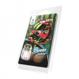 WATERMELON AUTO 3 SEMI