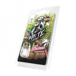 WHITE WIDOW AUTO 5 SEEDS