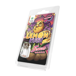 LEMON KUSH FEMINISIERT 5 SAMEN
