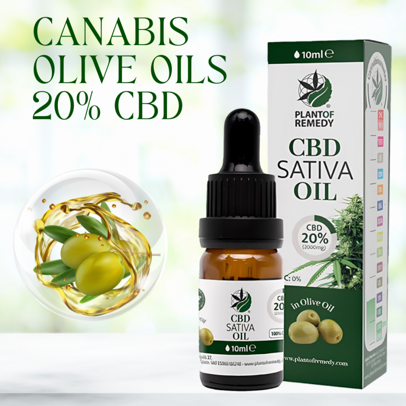20% CBD Olive Oil by PLANTOFREMEDY 10ml