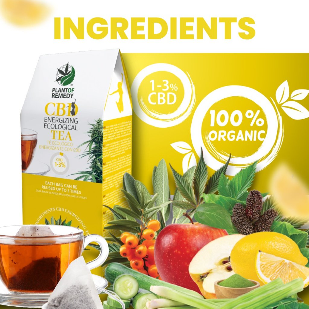 PLANT OF REMEDY Energizing Tea Organic - 10 bags