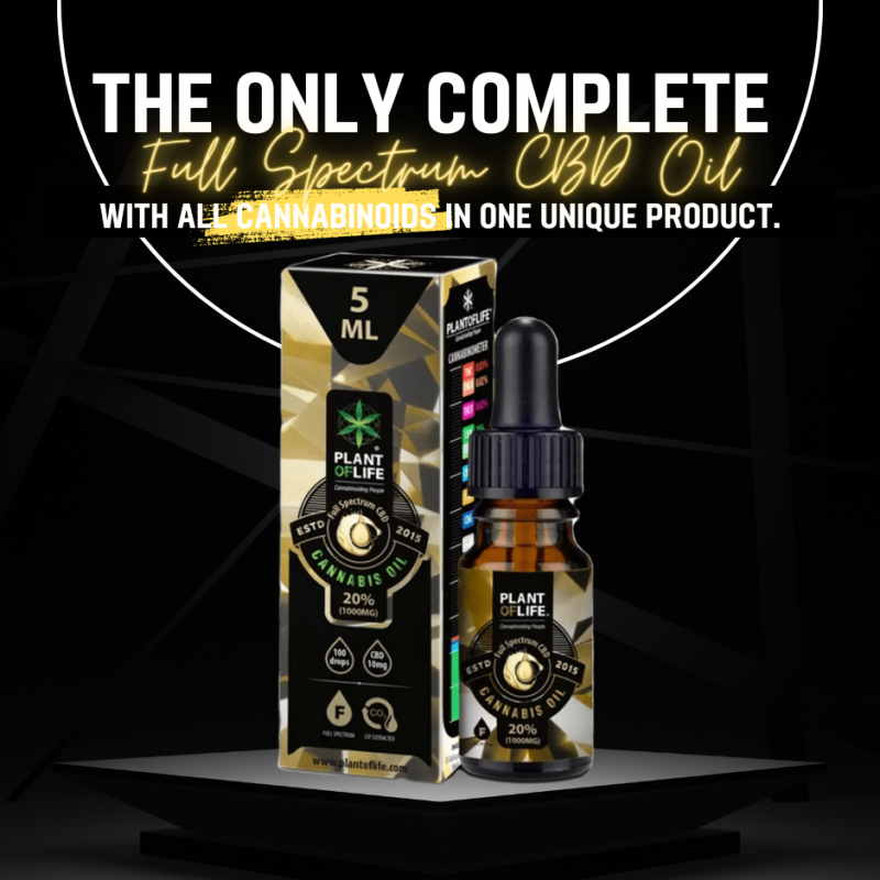 20% Full Spectrum CBD Oil - 5ml