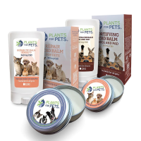 UNGUENTO CBD PER ANIMALI | PLANTS FOR PETS