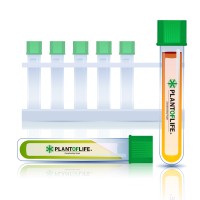 Acquista terpeni in linea | PLANTOFLIFE