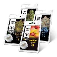 SOLIDES 10% CBD | PLANT OF LIFE