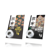 22% JELLY 1G | PLANTOFLIFE
