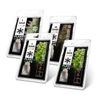 AUTO FLOWERING | PLANTOFLIFE