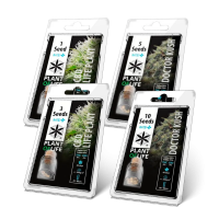 CBD MEDICINAIS FEMINIZADAS | PLANTOFLIFE