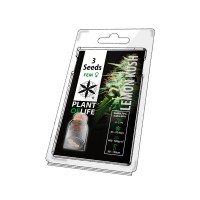 3 SAMEN FEM | PLANTOFLIFE