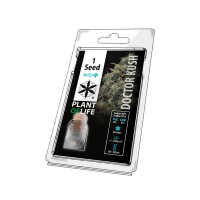 Semillas Medicinales CBD | Formato 1 semilla | PLANTOFLIFE