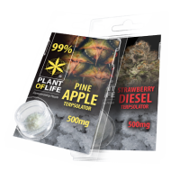 TERPSOLATOR OF 500 MG | PLANTOFLIFE