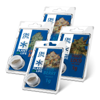 SÓLIDO 27% CBG | PLANTOFLIFE