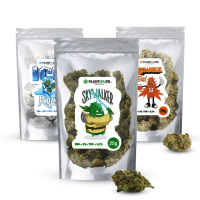 FLEURS CBD 25G | PLANTOFLIFE