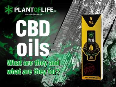 What are CBD oils and what are they for?