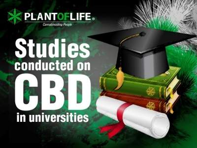 Research about CBD in universities